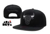 Chicago Bulls ( C-39 )